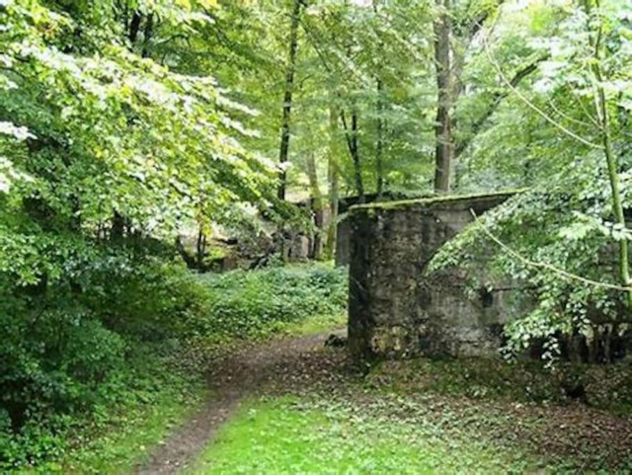 Gite Cosy Pour 2 A 4 Personnes, Village Proche Mulhouse Burnhaupt-le-Bas Екстериор снимка
