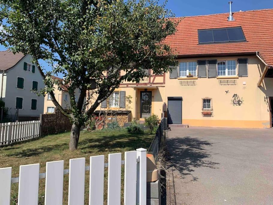 Gite Cosy Pour 2 A 4 Personnes, Village Proche Mulhouse Burnhaupt-le-Bas Екстериор снимка